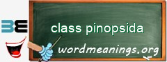 WordMeaning blackboard for class pinopsida